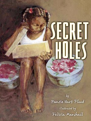 cover image of Secret Holes